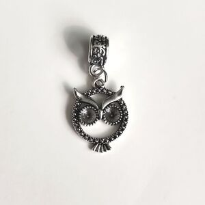 Owl  Charm for European Style Bracelets Fits Pandora Systems